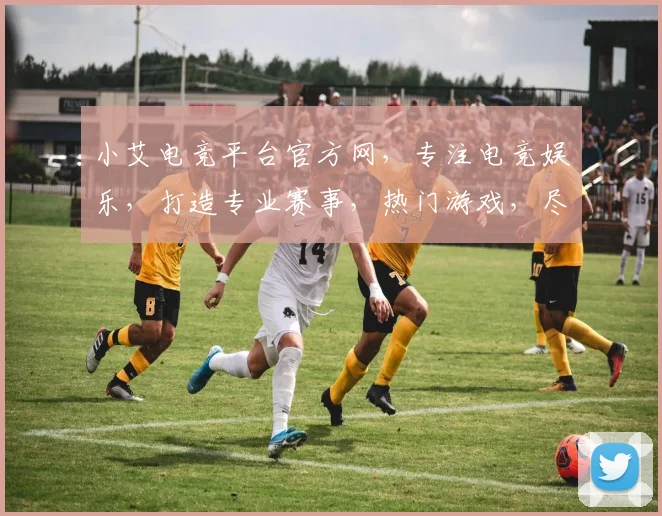小艾电竞平台官方网，专注电竞娱乐，打造专业赛事，热门游戏，尽在三大亮点汇聚一处