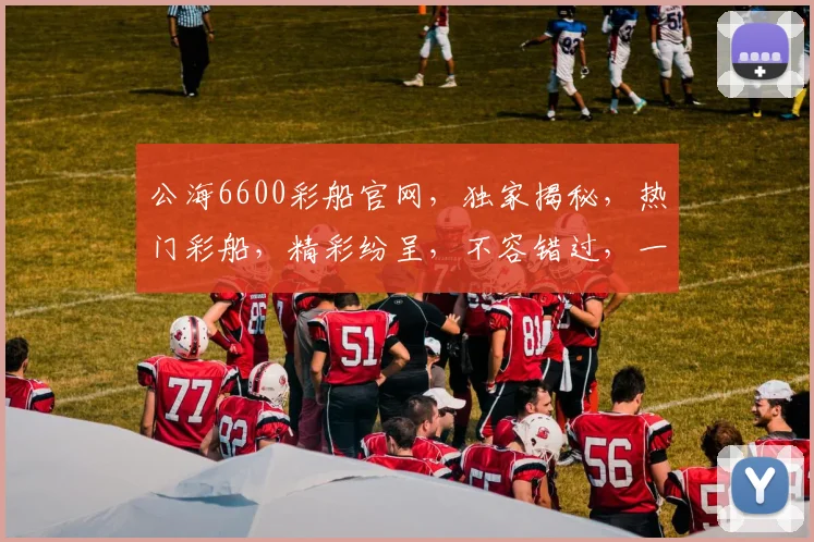 公海6600彩船官网，独家揭秘，热门彩船，精彩纷呈，不容错过，一网打尽